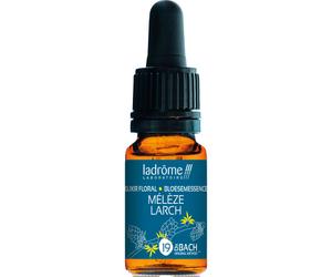 Ladrôme Mélèze Europe N°19 10ml
