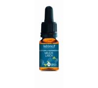 Ladrôme Mélèze N°19 Goutte(S) 10 ml