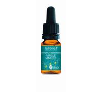 Ladrôme Mimule N°20 10ml