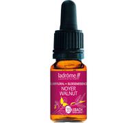 Ladrôme Noyer Commun N°33 10ml