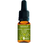 Ladrôme Olivier N°23 10ml