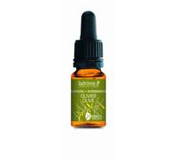 Ladrôme Olivier N°23 Goutte(S) 10 ml