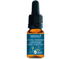Ladrôme Orme Champêtre/Elm 10ml