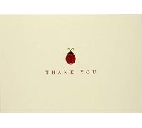Lady Bug Thank You Notes (Stationery, Note Cards)