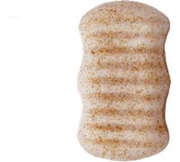 Lady Green Éponge Konjac Corps 2 en 1 aux Éclats de Noix - 1 pcs