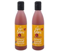 Lady Lela’s Crème Balsamique à la Canneberge,2x250ml | Vinaigre Balsamique Grec, Arôme Délicat, Saveur Aigre-Douce,(500 ml)
