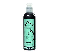 LADYBEL Lady Chocolate Shampooing pour Chien