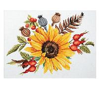 Ladybird kit de broderie Autumn Bouquet, kit de point de croix d'environ 34 x 25,6 cm pour un tableau de broderie carré, passe-temps artisanal pour adultes et enfants à partir de 8 ans