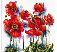 Ladybird kit de Broderie de Jolis Coquelicots, kit de Point de Croix d'environ 40 x 40 cm, kit Complet pour Un Tableau de Broderie carré, Hobby Artisanal pour Adultes et Enfants à partir de 8 Ans