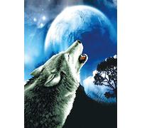 Ladybird kit de broderie Howling Wolf, kit de point de croix env. 46,4 x 63 cm, kit complet pour un tableau de broderie carré, hobby artisanal pour adultes et enfants à partir de 8 ans