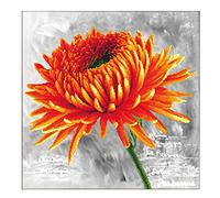 Ladybird set de broderie Orange Dahlia, set de point de croix env. 43 x 43 cm, set complet pour un tableau de broderie carré, hobby artisanal pour adultes et enfants à partir de 8 ans