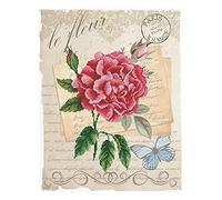 Ladybird set de broderie Rose Bloom, set de point de croix env. 35,7 x 45,7 cm, set complet pour un tableau de broderie carré, hobby artisanal pour adultes et enfants à partir de 8 ans