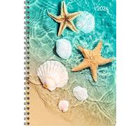 Ladytimer Beach 2024 Classeur à anneaux Format A5 (15 x 21 cm) Agenda scolaire Weekly Reliure à anneaux 128 pages Alpha Edition