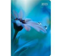 Ladytimer Midi Waterdrops 2023 Agenda de poche, 12 x 17 cm, avec film mat, motif gouttes, semainier, 192 pages Alpha Edition