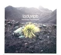 Ladyvipb - Stories Of A Broken Heart And Recovering - DISC 1 ONLY - Nuphonic