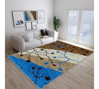 Laegnfho Kit de Tapis de Crochet à Point Noué di Coussin au Crochets à Loquet Bricolage Création de Tapis à Crocher pour Adultes Modèle de Couleur pré-imprimé 61 x 87 cm