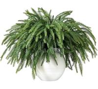Laelfe 10 Pièces Branches Artificielles de Pin Norfolk, 46 cm Tiges de Pin Cèdre Artificielles au Toucher Réaliste pour Bricolages de Noël, Couronnes, Guirlandes (Pendent Naturellement)