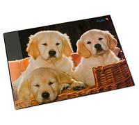 Läufer 46581 sous-main avec motif chiens, 40x53 cm, sous-main antidérapant avec une poche de côté transparente