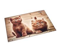 Läufer Sous-main 46650 – Motif chatons curieux, 40×53 cm, antidérapant, poche latérale transparente