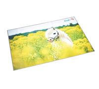 Läufer 46651 sous-main avec motif cheval dans le champ de colza, 40x53 cm, sous-main antidérapant avec une poche de côté transparente