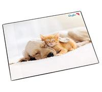 Läufer 46657 sous-main avec motif chien et chat, 40x53 cm, sous-main antidérapant pour des enfants avec une poche de côté transparente