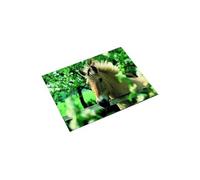Uhu 46640.4 Tapis de bureau Motif cheval 40 x 53 cm