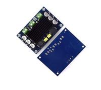 Lafeier Amplificateur mono 100 W TPA3116D2 Classe DC 12 V-26 V AMP audio numérique