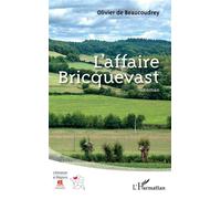 L'affaire Bricquevast: Roman