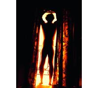 L'Affaire des enfants noirs