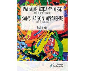 L'affaire Rokambolesk suivi de Sans raison apparente