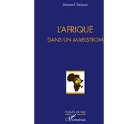 L'Afrique dans un maelstrom - Armand Tenesso - L'harmattan - broché - Essai