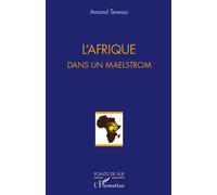 L'Afrique dans un maelstrom - Armand Tenesso - L'harmattan - broché - Essai