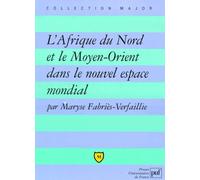 L'afrique Du Nord Et Le Moyen-Orient Dans Le Nouvel Espace Mondial - Une Marge Stratégique Ou Un Croissant Fracturé ?