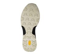 Lafuma Homme Shift GTX M Chaussure de Trail, Asphalte, 44 2/3 EU