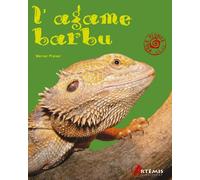 L'agame barbu