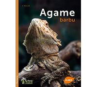 L'Agame barbu