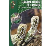 L'Agame Barbu de Lawson: Pogona Henrylawsoni