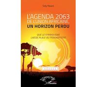 L'agenda 2063 de l'Union africaine, un horizon perdu: Que le symbolisme laisse place au pragmatisme