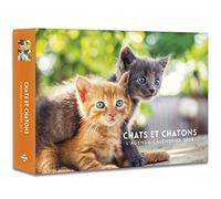 L'agenda-calendrier Chats & Chatons 2019