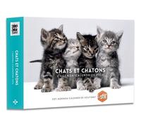 L'agenda-Calendrier Chats Et Chatons