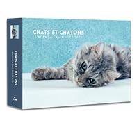L'agenda-calendrier Chats et Chatons 2020