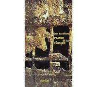 L'agonie de la puissance - Jean Baudrillard - Sens Et Tonka Eds - broché - Essai