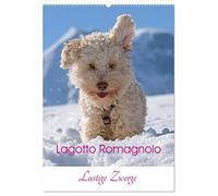 Lagotto Romagnolo - Lustige Zwerge (Wandkalender 2026 DIN A2 hoch), CALVENDO Monatskalender: Lachen und Spaß, das ist Hundeleben