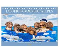Lagotto Romagnolo Welpen - Sieben kleine Weltentdecker auf großer Fahrt (Tischkalender 2026 DIN A5 quer), CALVENDO Monatskalender: 13 traumhafte ... begleiten Liebhaber der Rasse durch das Jahr