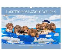 Lagotto Romagnolo Welpen - Sieben kleine Weltentdecker auf großer Fahrt (Wandkalender 2026 DIN A3 quer), CALVENDO Monatskalender: 13 traumhafte ... begleiten Liebhaber der Rasse durch das Jahr