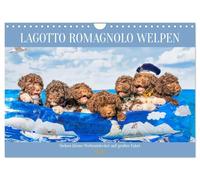 Lagotto Romagnolo Welpen - Sieben kleine Weltentdecker auf großer Fahrt (Wandkalender 2026 DIN A4 quer), CALVENDO Monatskalender: 13 traumhafte ... begleiten Liebhaber der Rasse durch das Jahr