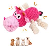 LAIBUY Jouet pour chien avec pattes en corde, article en peluche couineur pour chiens de petite, moyenne et grande taille, jouets interactifs et durables à mâcher en corde, cadeaux d'anniversaire de