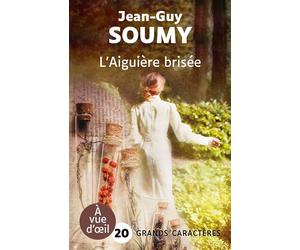 L'aiguiere brisee Grands caractères, édition accessible pour les malvoyants - Jean-Guy Soumy - A Vue D'oeil - broché - Roman