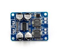 Laikoutd Carte D'amplificateur De Puissance Numérique Efficace 60W avec Faibles Distorsions pour Les Applications Musicales Domestiques Et Personnelles Amplificateur Mono