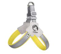 Laikoutd Collier De Gilet D'entraînement Respirant pour Chien Sangle Poitrine Souple pour Animaux Compagnie Taille Moyenne Et Corde Souple avec Crochet Traction Harnais Grand Chien